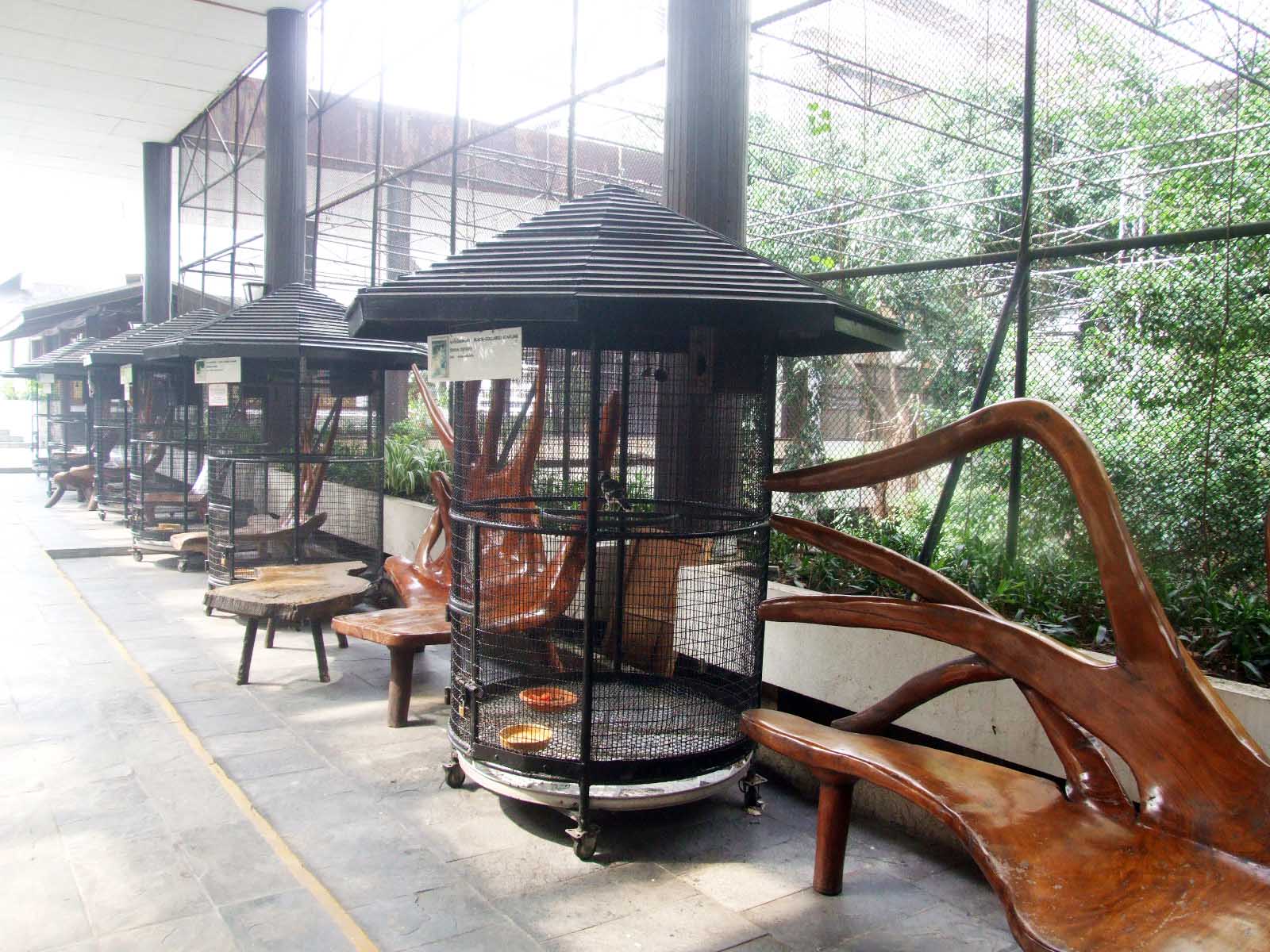 Lòng hiếu khách bị giả mạo